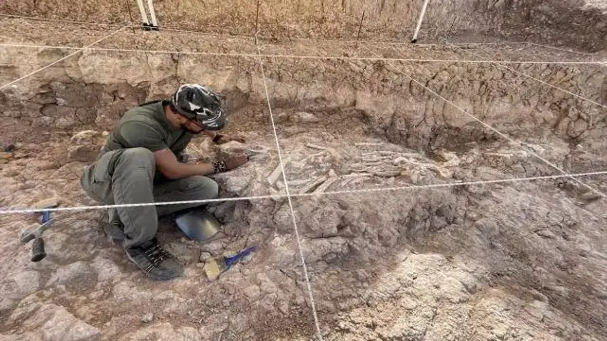 Milyonlarca yıl öncesine ait fosiller uluslararası projeyle yeniden tarihlendirilecek