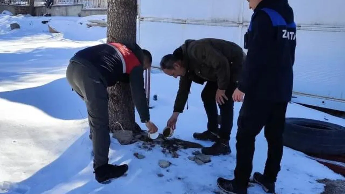 Malatya'da sokak hayvanları unutulmadı