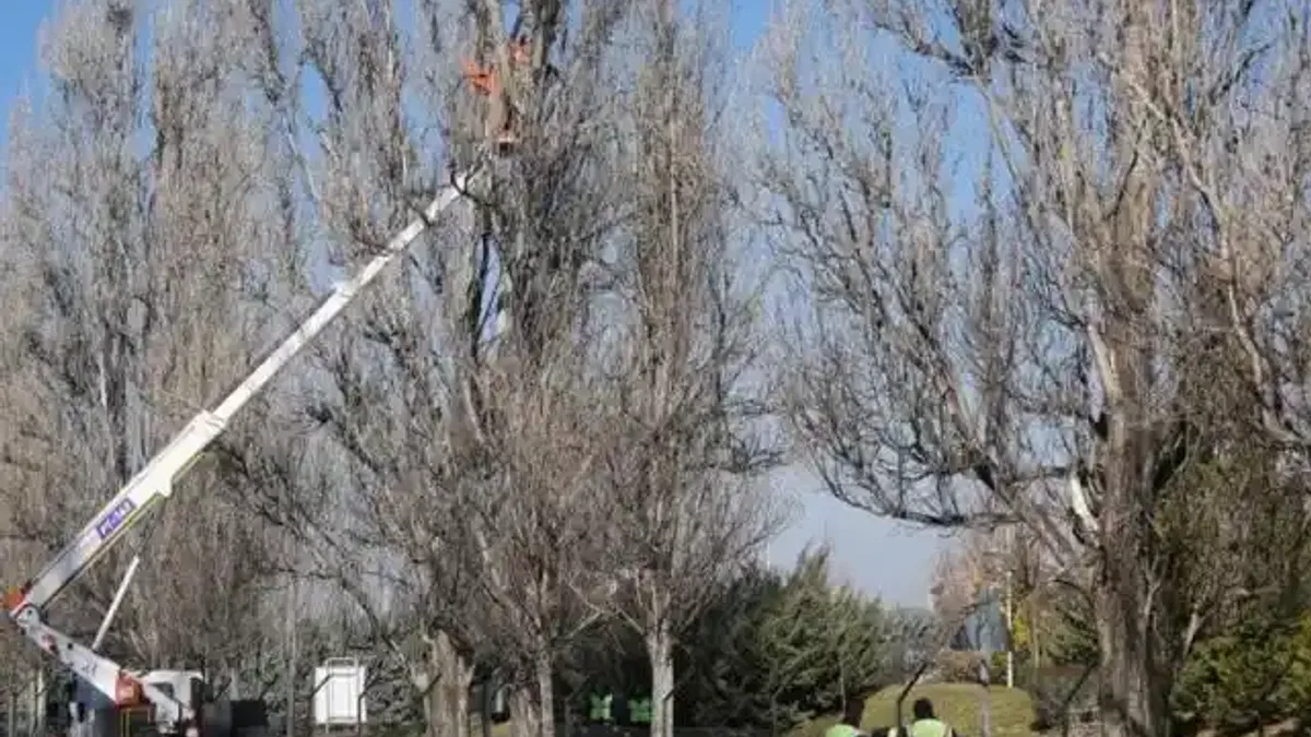 Eskişehir Sazova Parkı’nda çalışmalar devam ediyor