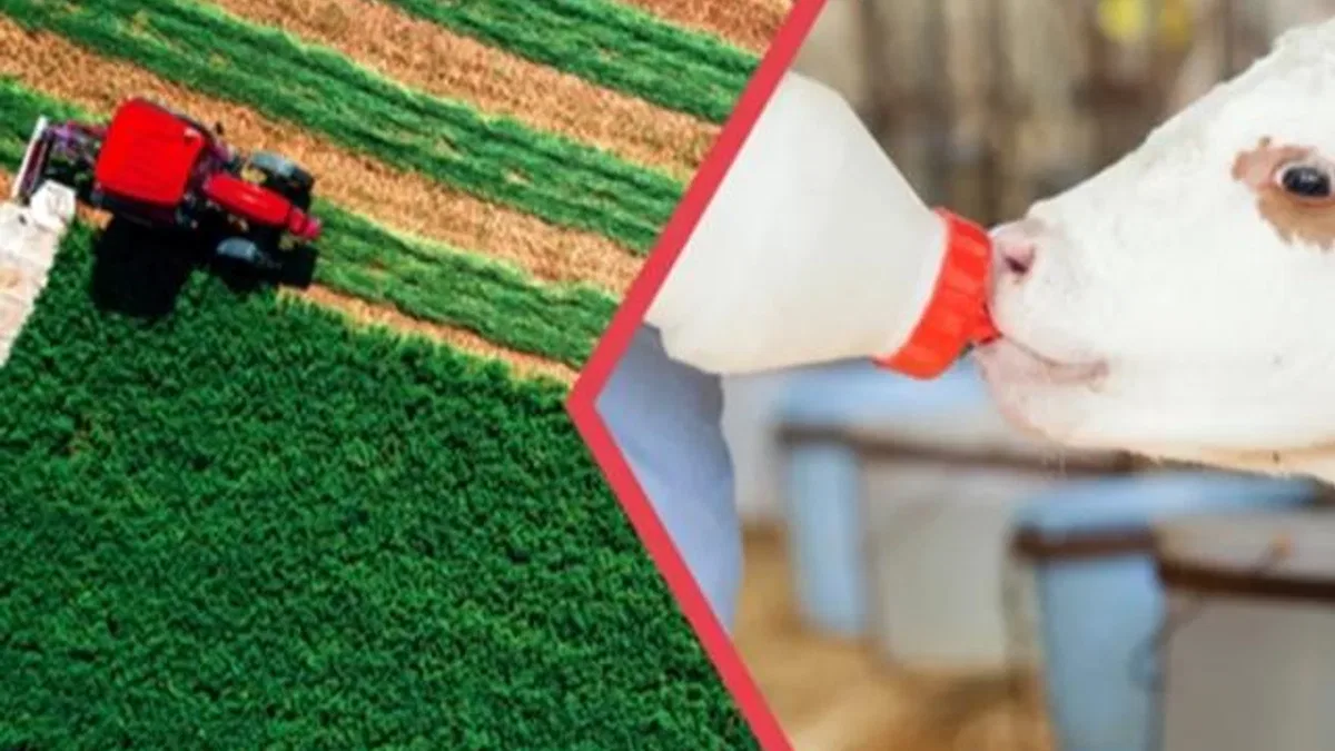 112 milyon TL'lik tarımsal destekler hesaplarda