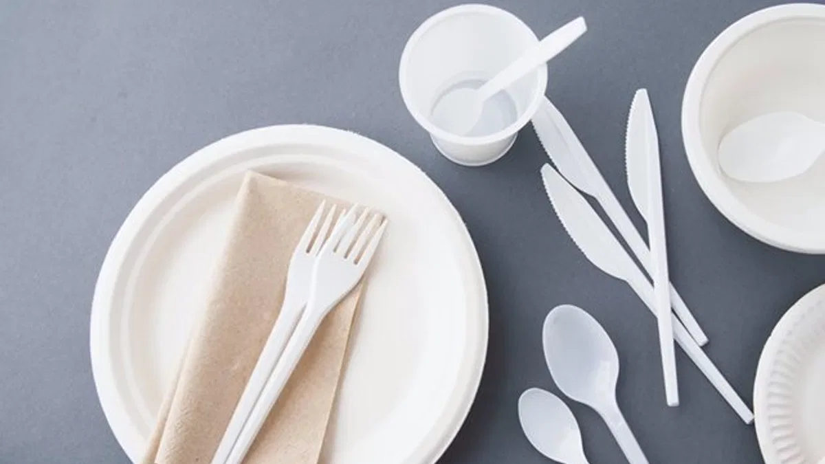 Tek kullanımlık plastik düzenlemesi sanayide dönüşümü başlatıyor