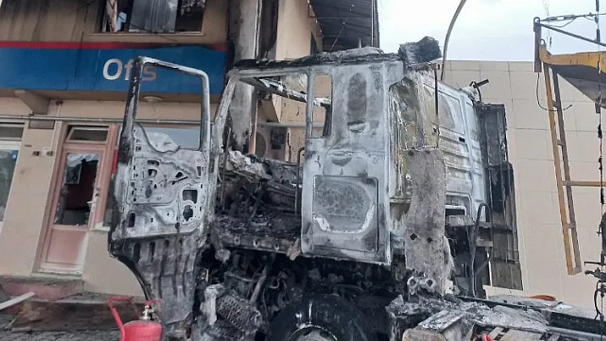 Bursa Yenişehir'de korkutan yangın