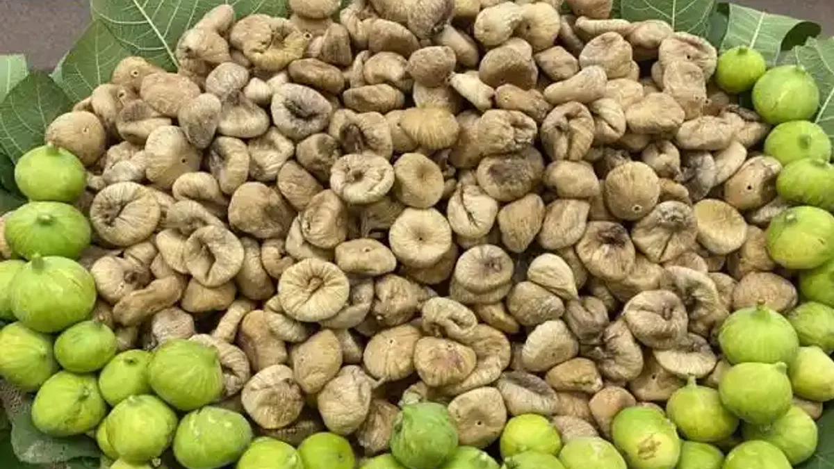 Kuru incir rotasını Kuzey Amerika’ya kırdı