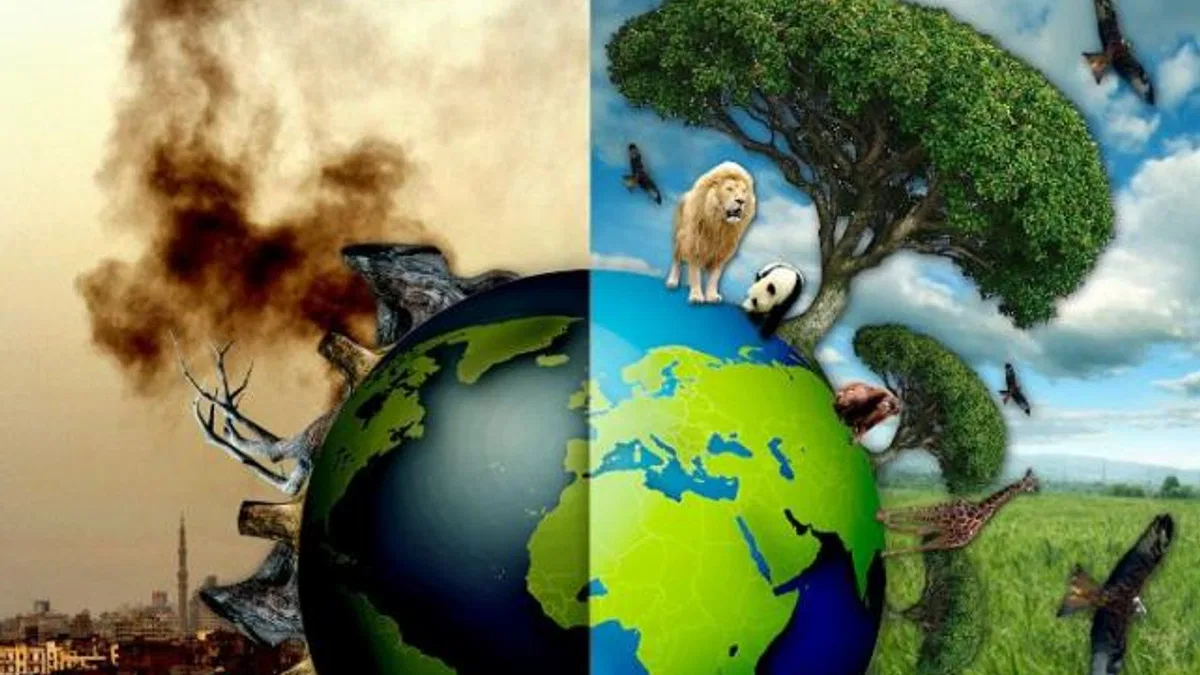 TEMA'dan geçen yıla 'çevresel' bakış! 2023'ü öne çıkan iyi ve kötü çevre olayları...