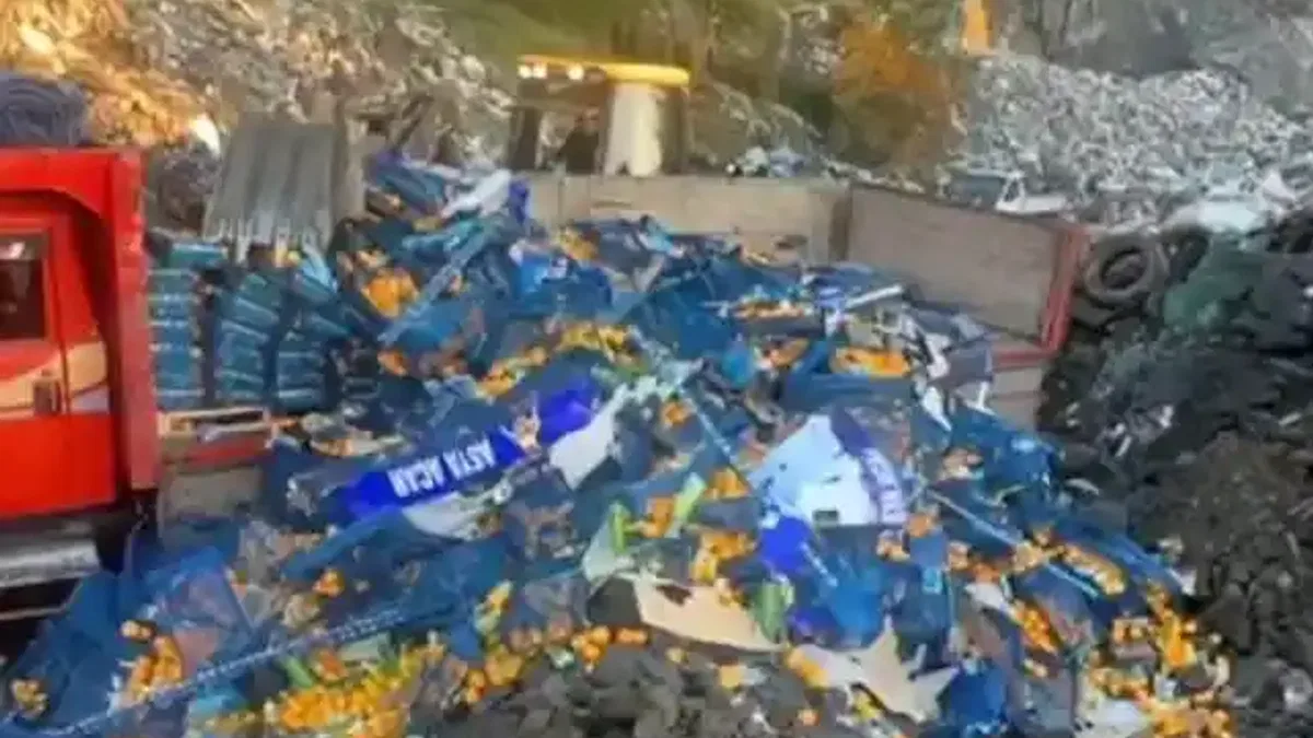 Artvin'de zirai ilaç kalıntısı tespit edilen 6,1 ton mandalina imha edildi