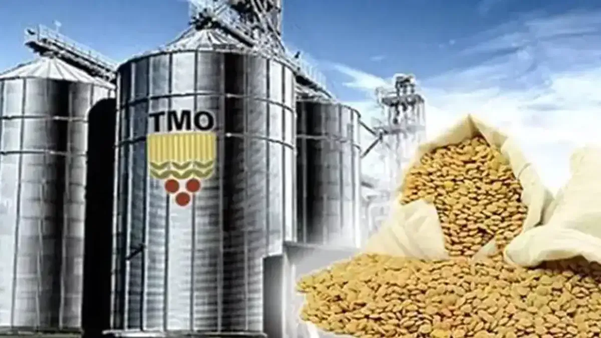 TMO’dan üreticilere 6,3 milyar liralık ödeme