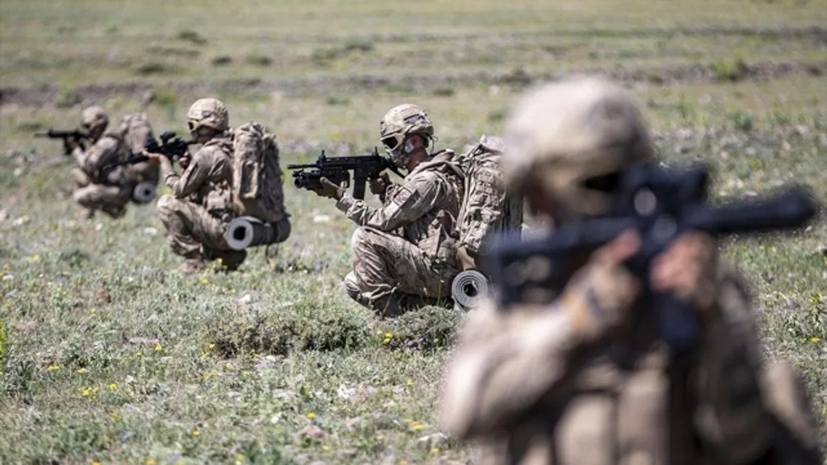 Bitlis'te biri gri kategoride aranan 2 terörist etkisiz hale getirildi