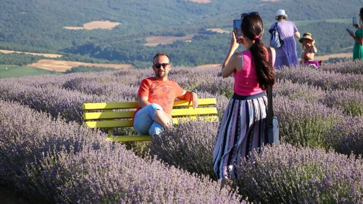 Tekirdağ'daki lavanta tarlaları ziyaretçilerini ağırlıyor