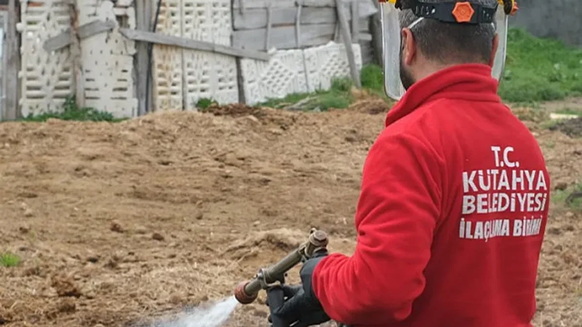 Kütahya'da ilaçlama çalışmaları sürüyor