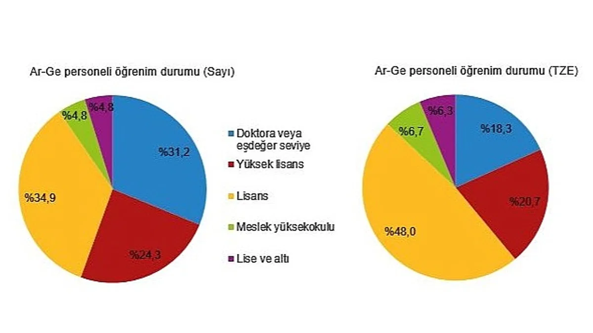 TÜİK: Araştırma-Geliştirme (Ar-Ge) harcaması 2021 yılında 101 milyar 738 milyon TL'ye yükseldi