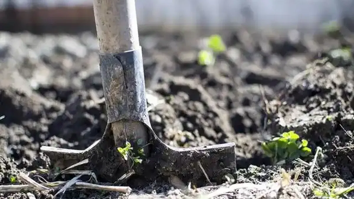 Avrupa'da yeterli miktarda gübre kalmadı