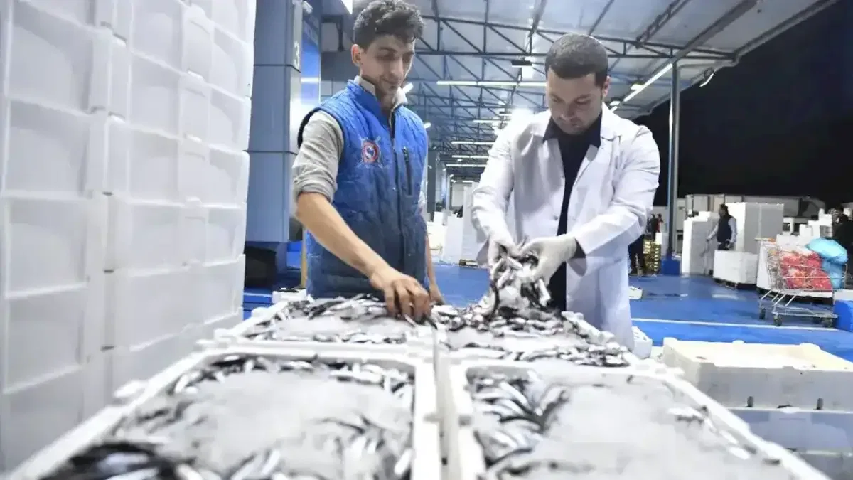 Ankara Balık Hali’nde sıkı denetim
