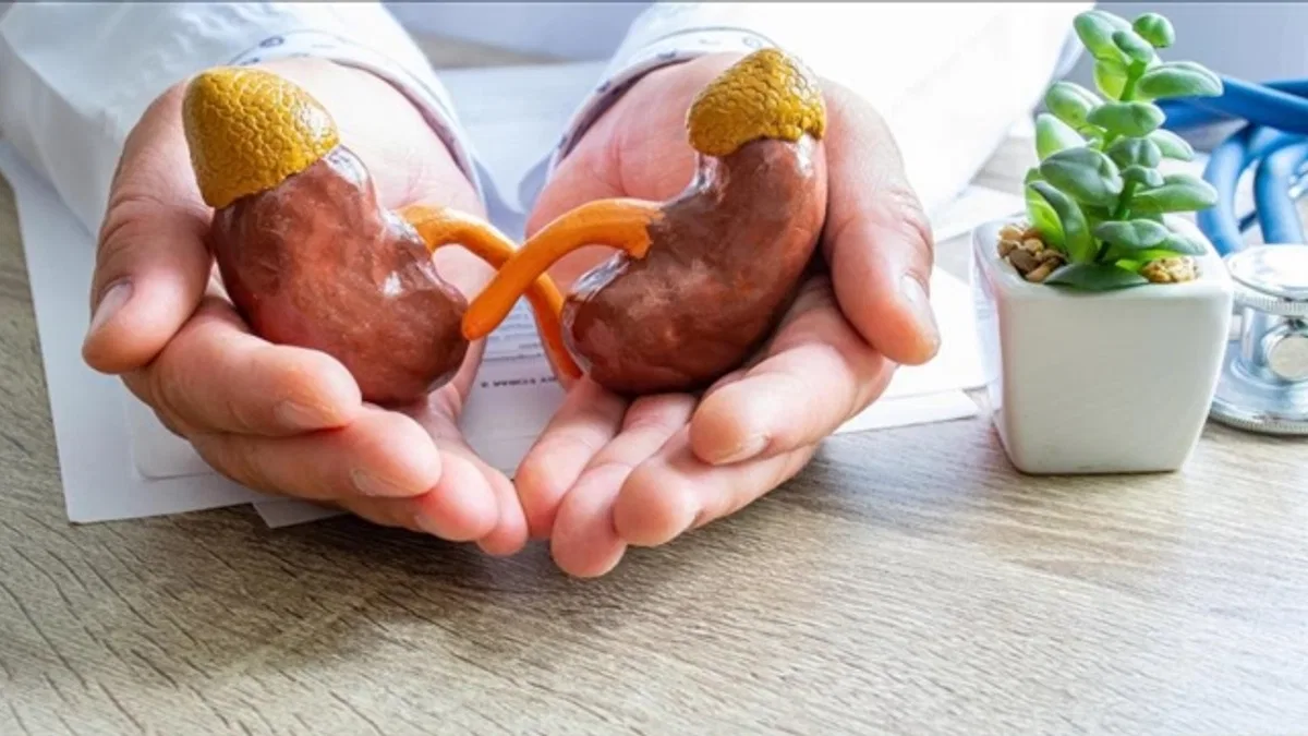 Bayramda sağlıklı beslenme önerisi