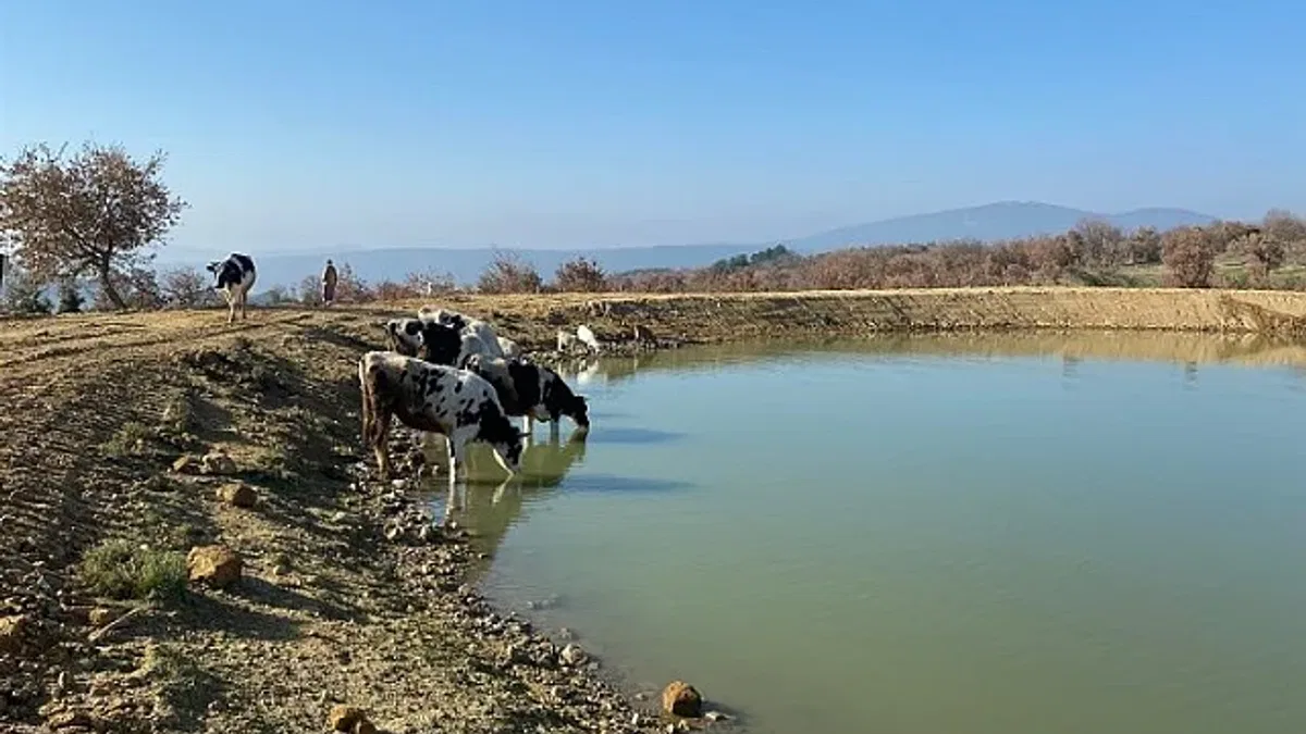 Manisa'da 2022'de 118 gölet yenilendi