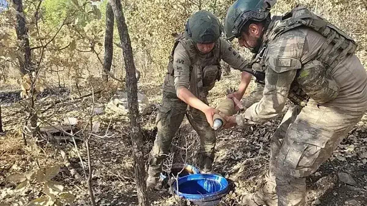 Şırnak'ta 5 terörist etkisiz