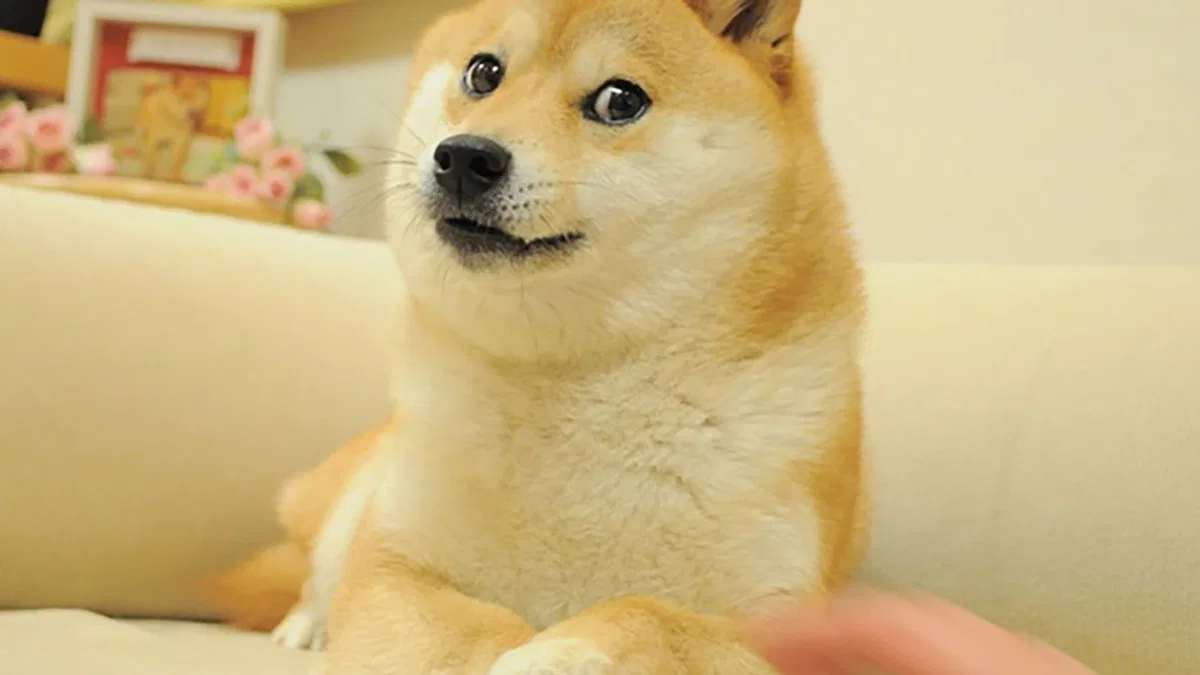 Shiba Inu Layer 2 Blockchain Shibarium to Release Beta Version This Week