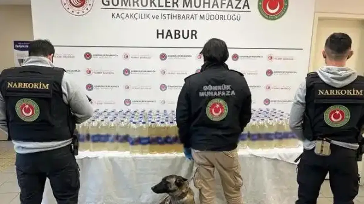 Habur Gümrük Kapısı'nda zehir operasyonu