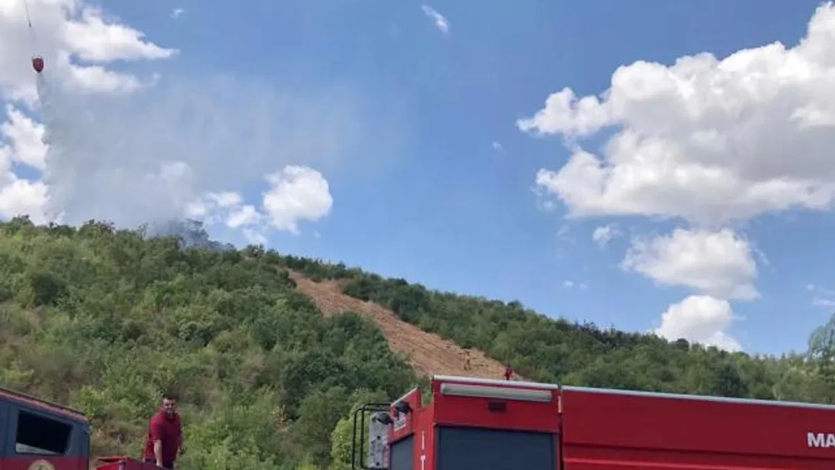 Manisa'da ormanlık alanda çıkan yangın söndürüldü