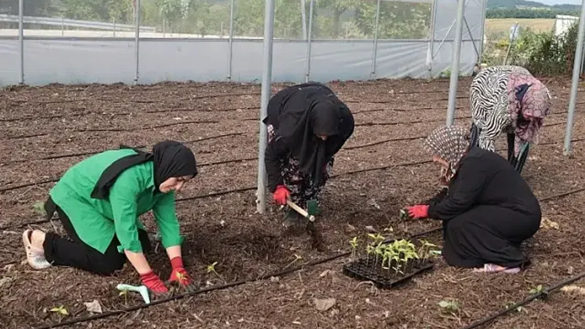 Kocaeli'den kadın girişimcilere tarımsal destek... Ata tohumları toprakla buluşturuldu