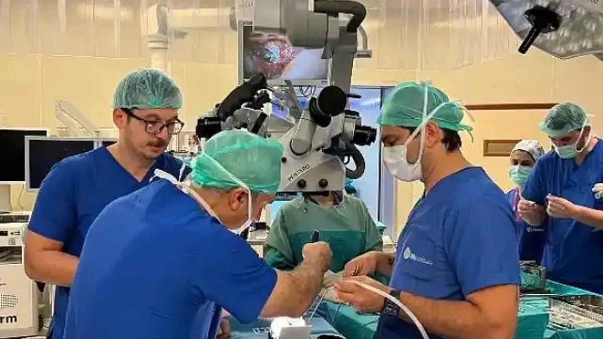Dünyaca ünlü beyin, sinir ve omurga cerrahisi uzmanları İstanbul'a geldi! WFNS Eğitim Kursu başarıyla tamamlandı!