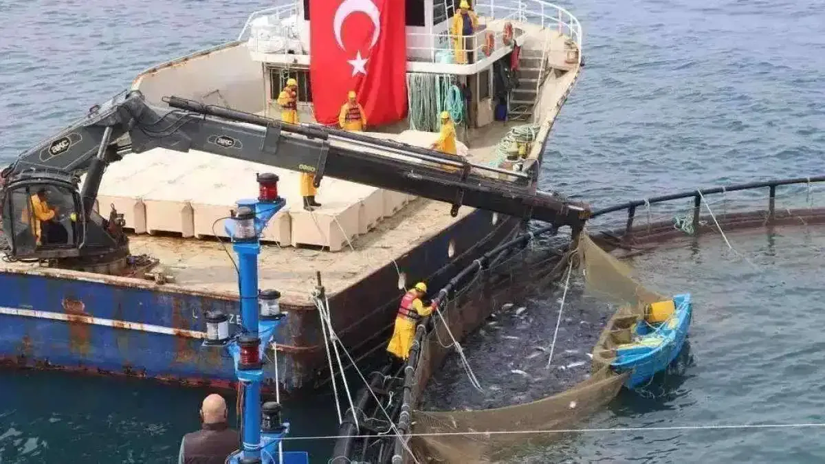Avcılıkta artış, iç sularda düşüş!