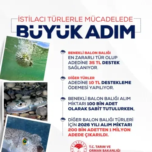 Haber Detayı