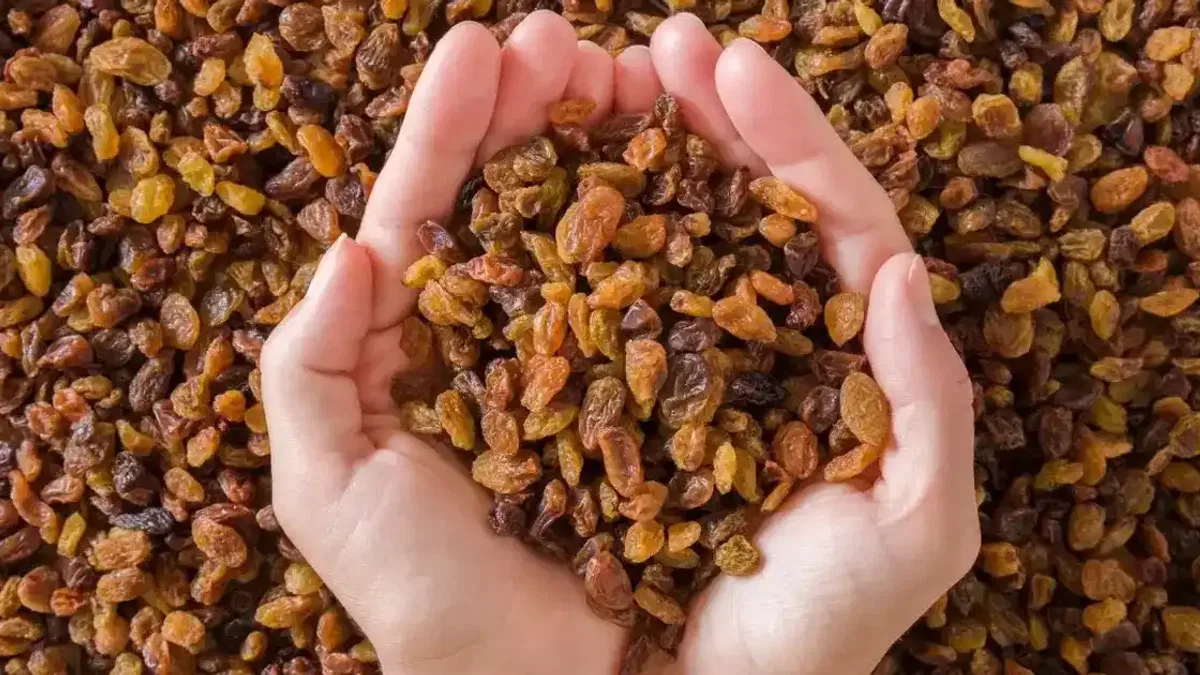 Çekirdeksiz kuru üzüm fiyatları belli oldu