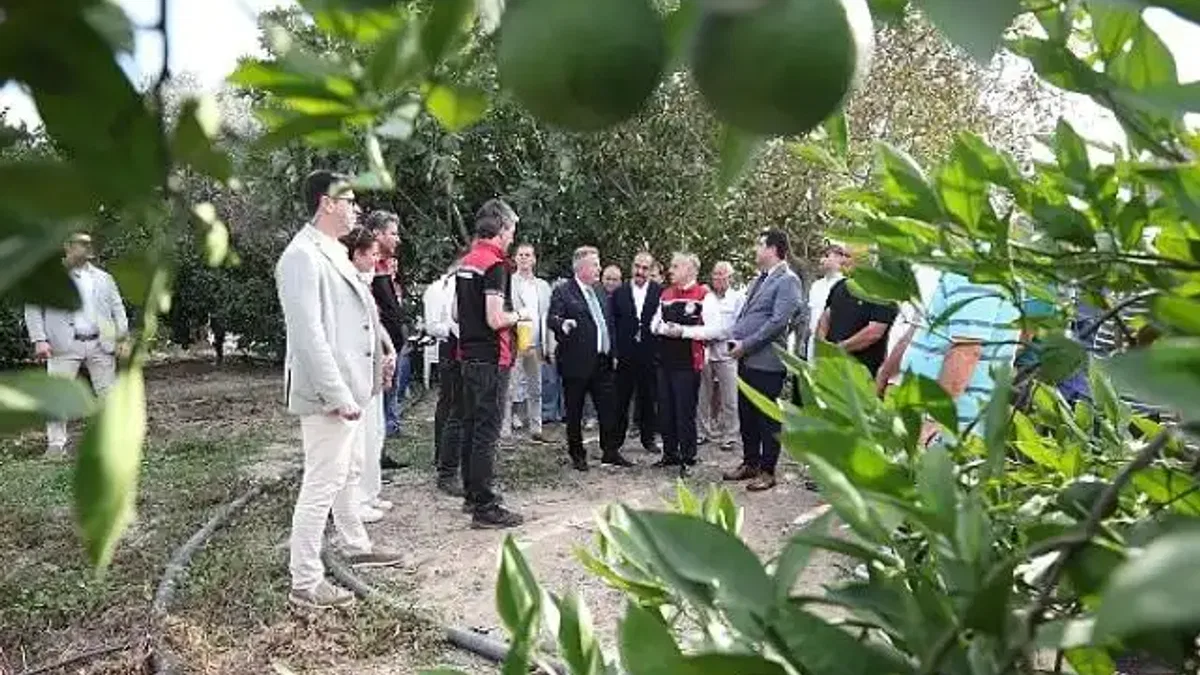 "Akdeniz Meyve Sineği İle Mücadelede Biyoteknik Yöntemlerin Yaygınlaştırılması Projesi"