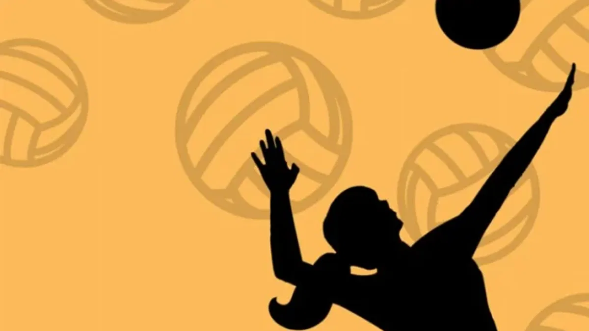 Şampiyonluk voleybol taleplerini arttırdı!