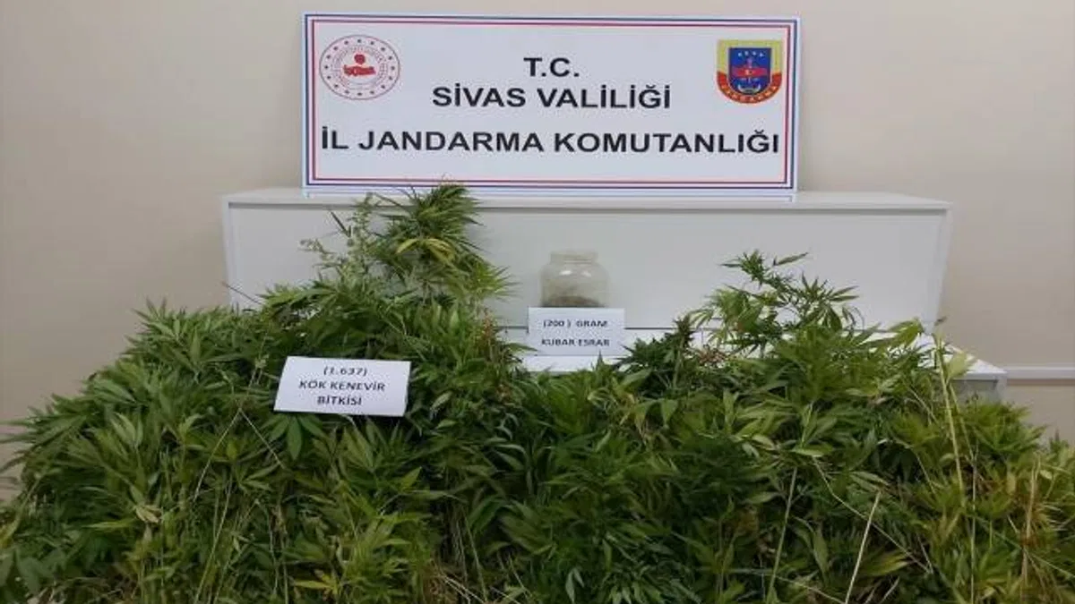 Sivas'ta uyuşturucu operasyonunda 2 şüpheli gözaltına alındı