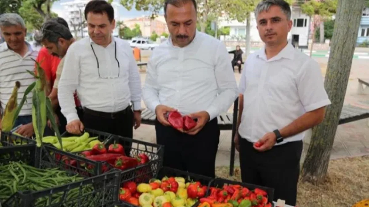 Bursa Yenişehir'de 'Altın Biber Festivali' düzenlendi