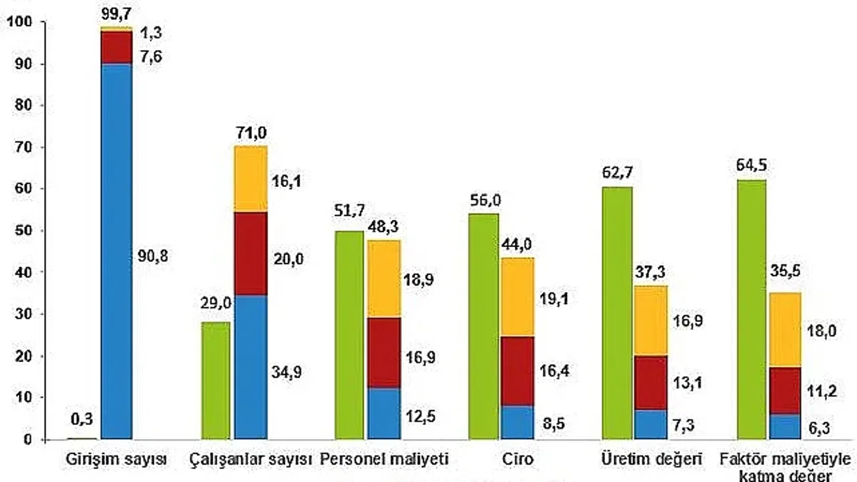 Küçük ve Orta Büyüklükteki Girişim İstatistikleri, 2021