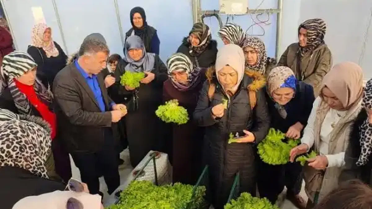 Kocaeli'nde topraksız tarıma kadın çiftçilerden yoğun ilgi