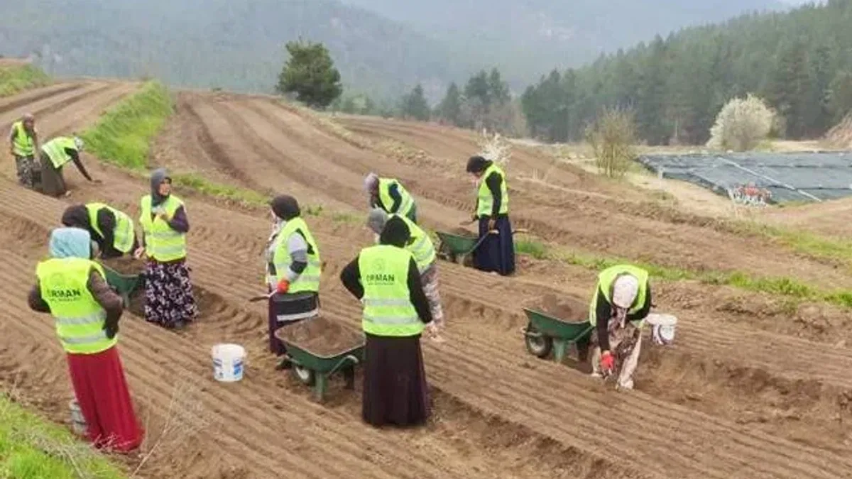 OGM’den Kadın Üreticilere 8.5 Milyon TL Destek