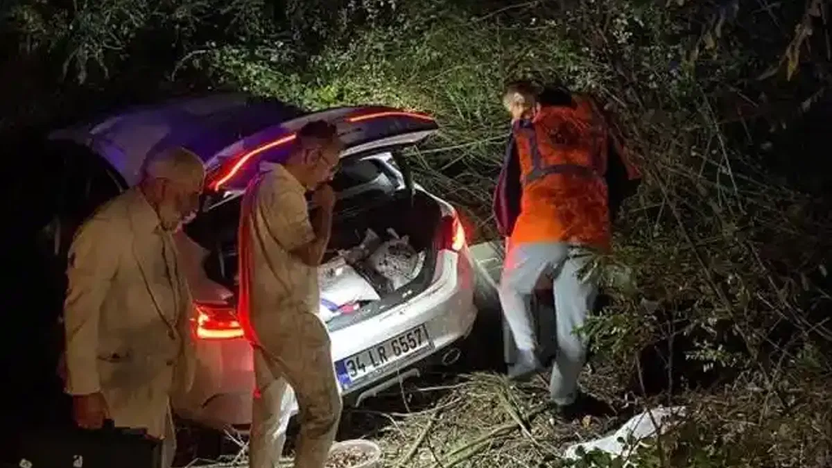 Anadolu Otoyolu'nda zincirleme kaza: 7 yaralı