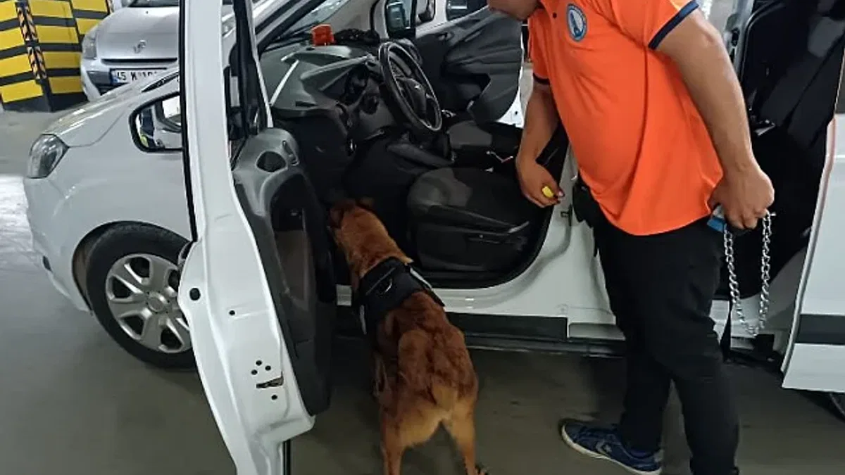 Bomba arama köpeği 'Niobe' göreve hazır