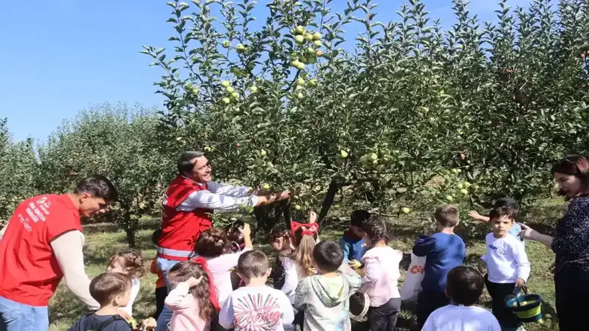 İzmit'te minikler meyveleri dalından topladı