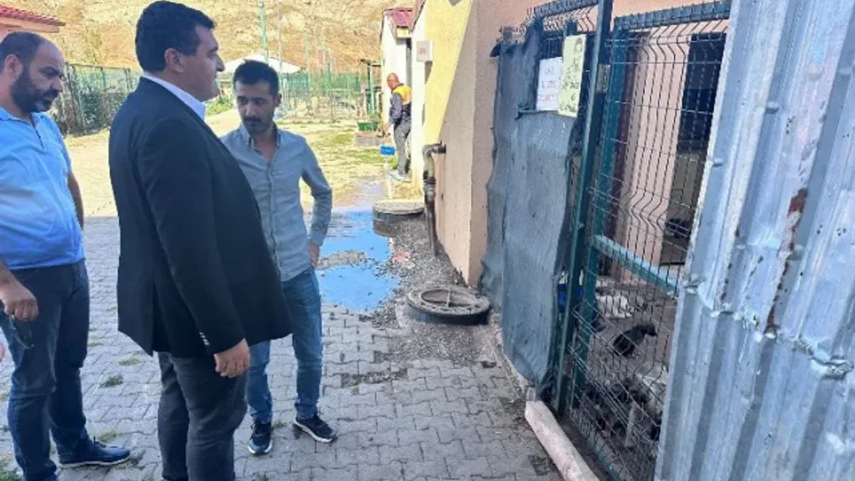 Sivas Hayvan Barınağı Meclis'e taşınacak