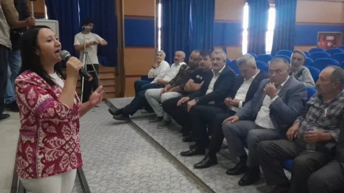 Bilecik'te son sözü DSİ söyleyecek