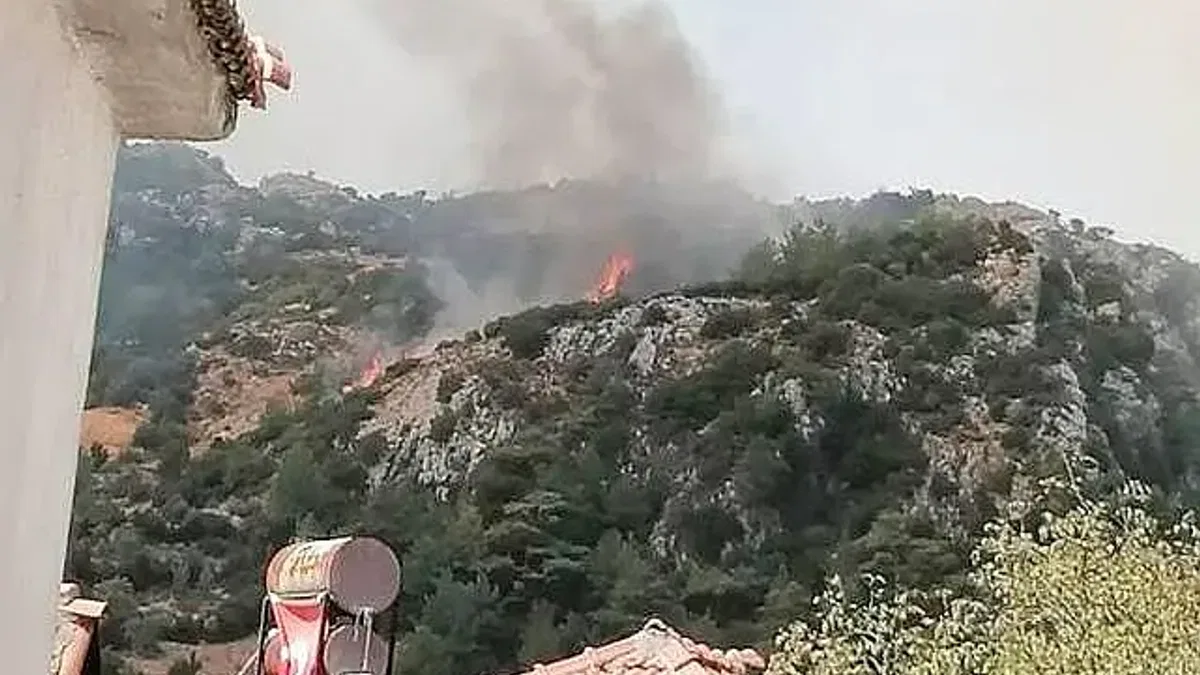 Türkiye'nin üç ilinde orman yangınları
