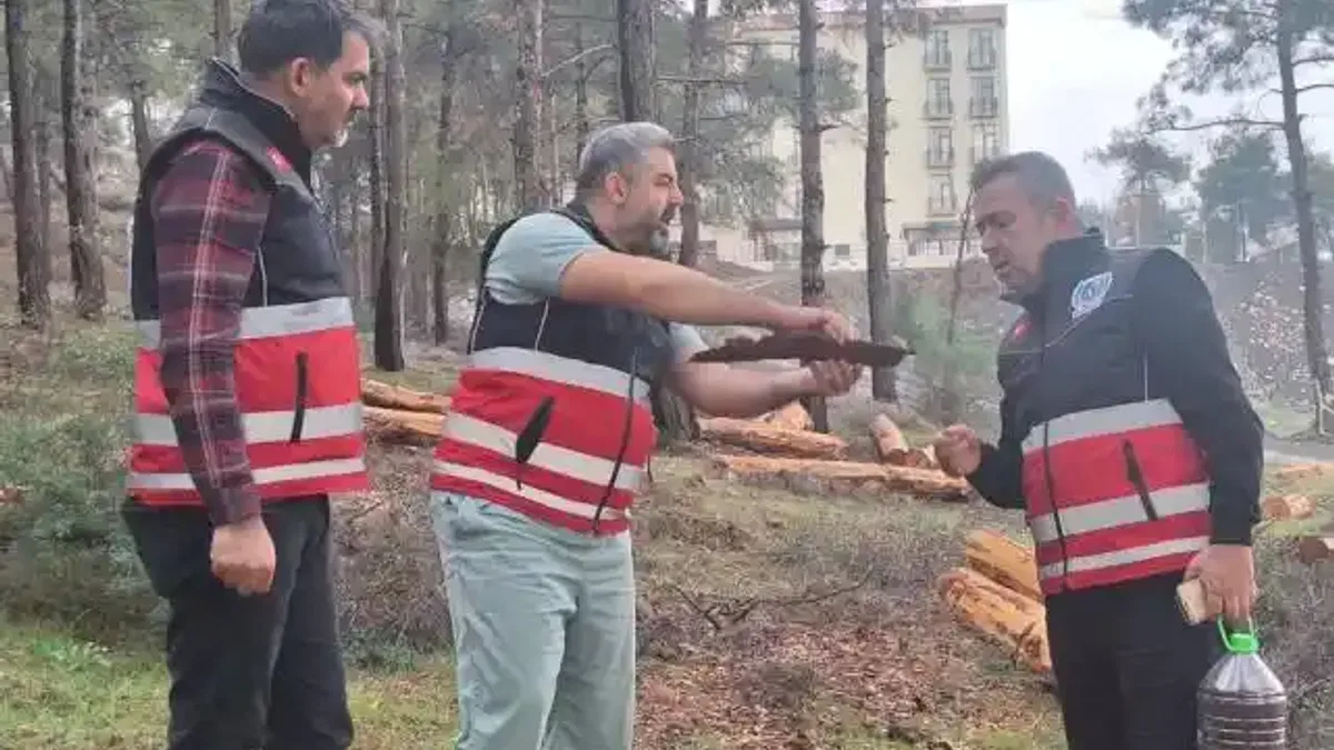 Hatay'da mücbir ağaç kesimlerine 'Tabiatı Koruma'dan açıklama