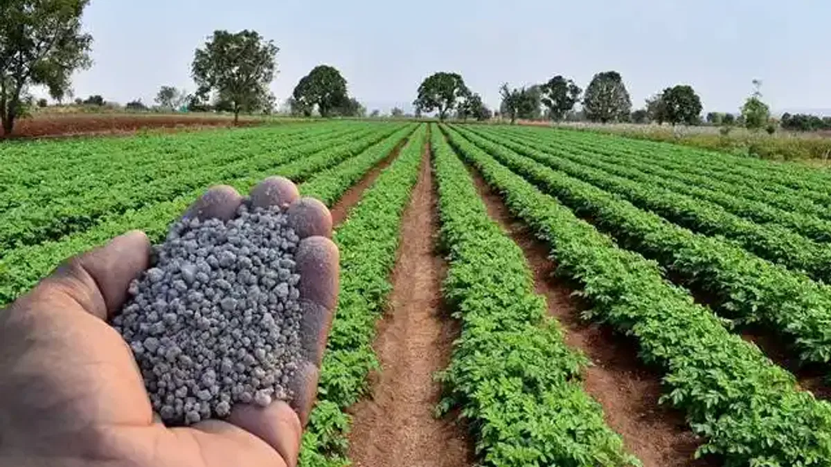 GÜBRETAŞ'tan gübre arzı açıklaması