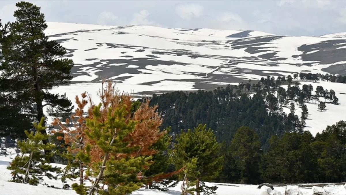 Sarıkamış'ın bir yanı kış bir yanı bahar