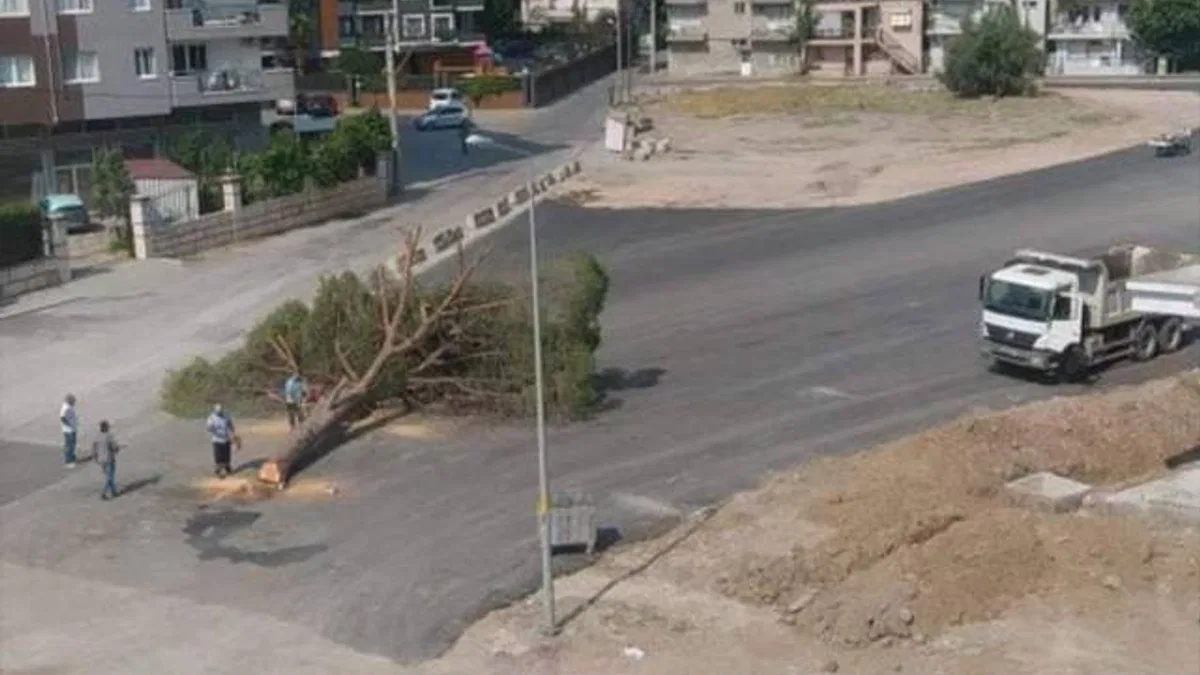 İzmir'de yol yapımı için ağaç kesilmesine tepki