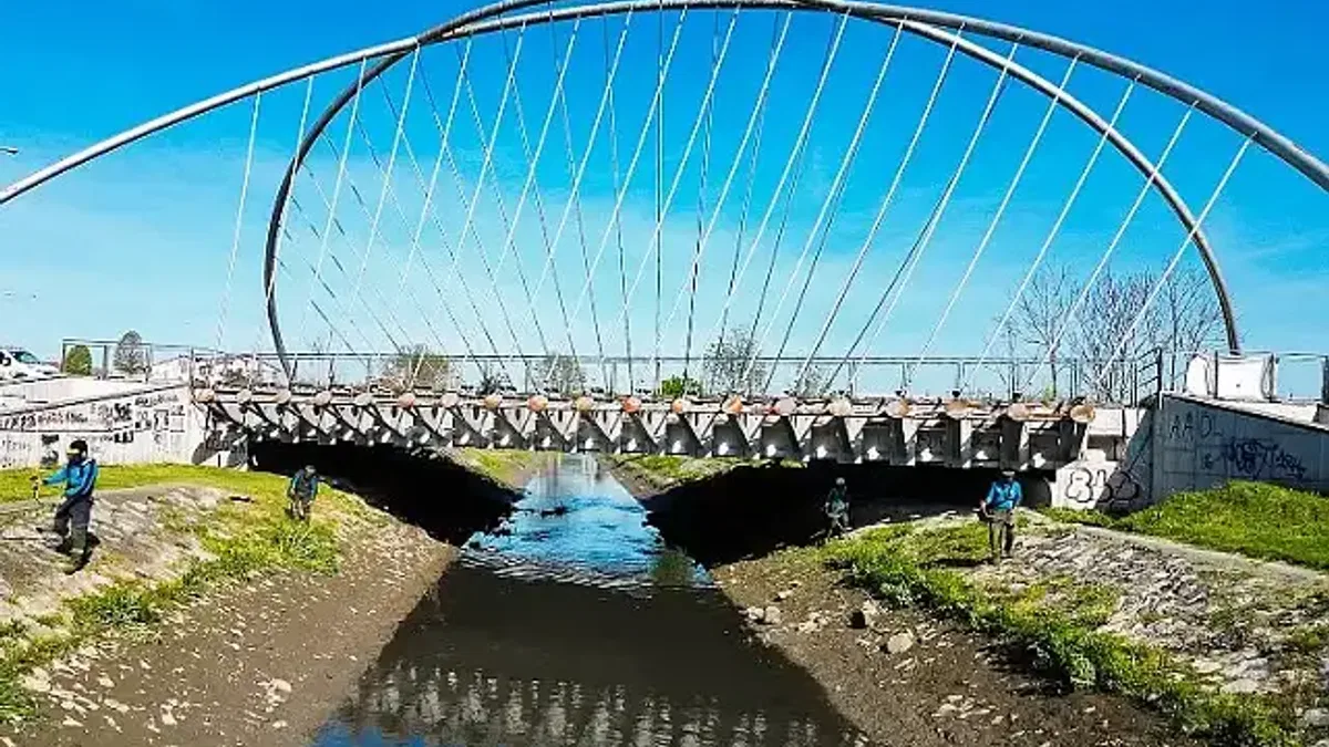 Sakarya'da Çark Deresi'nde bayram temizliği