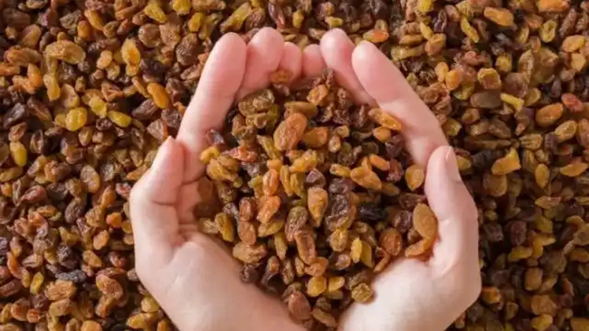 Çekirdeksiz kuru üzüm ihracatı arttı