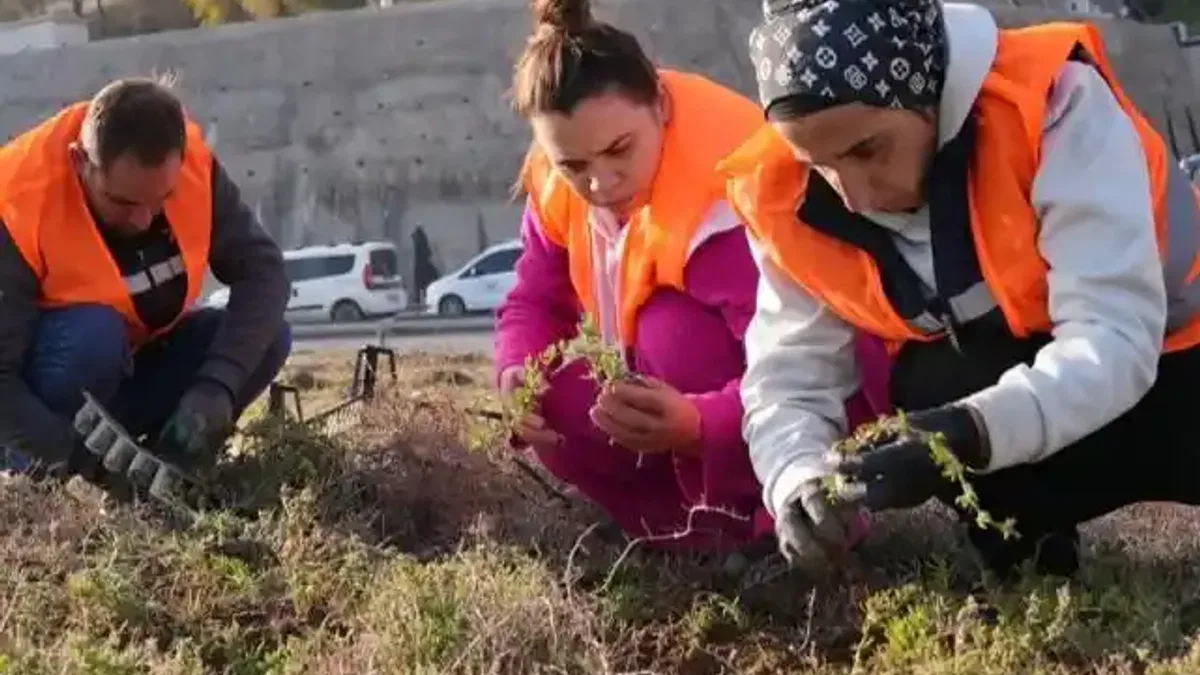 İzmir'de kuraklığa yeşil hamle!