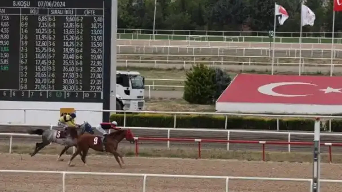TJK'nın Nilüfer koşusunu 'Kardeşcan' kazandı