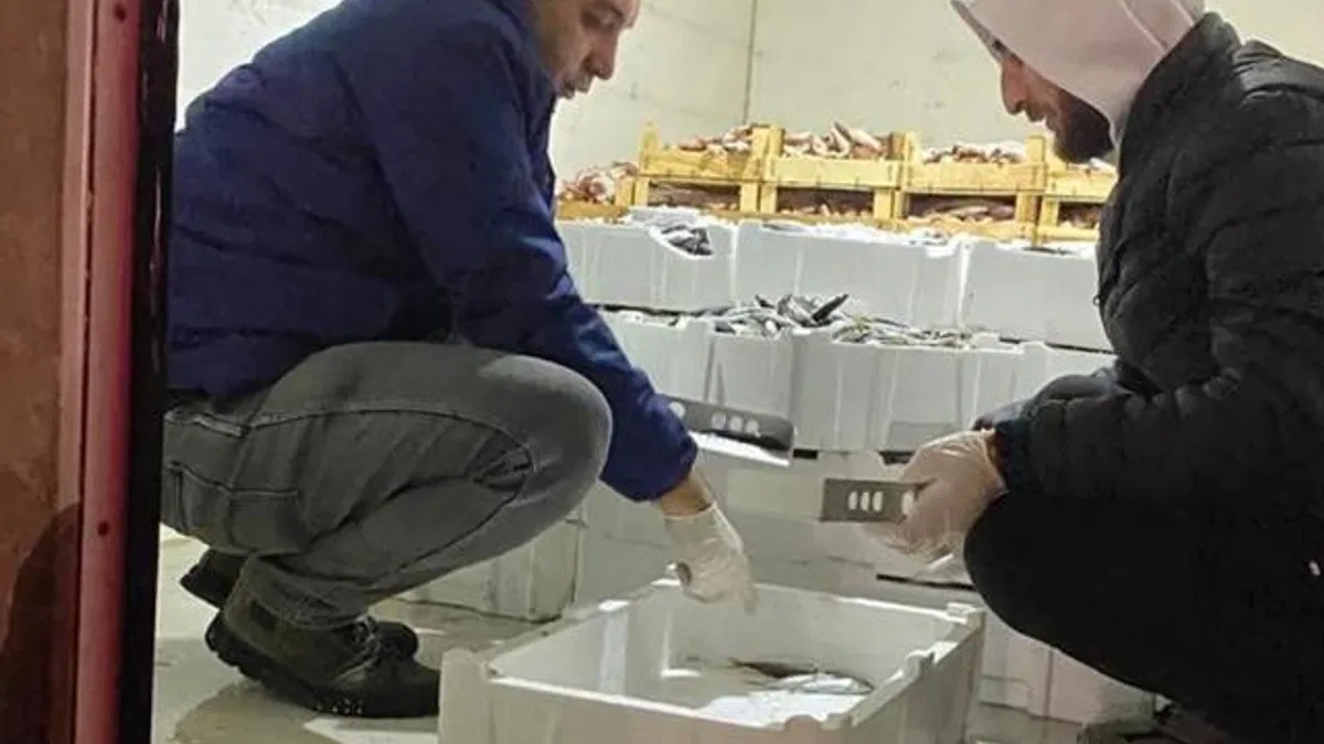 Bursa'da 1,5 ayda 5 ton balığa el konuldu!