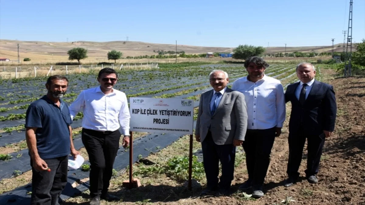 Kırıkkale'de çörek otu ekim alanı artırılacak